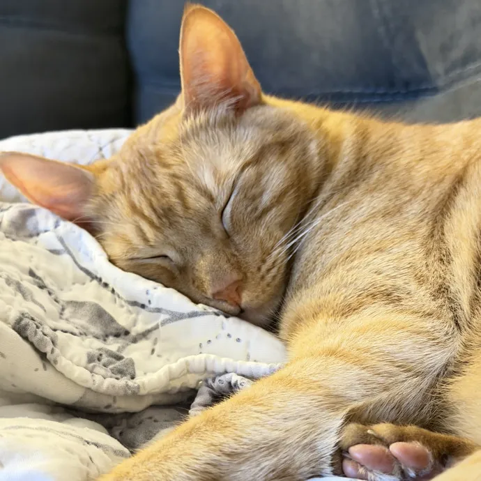 Maggie P.