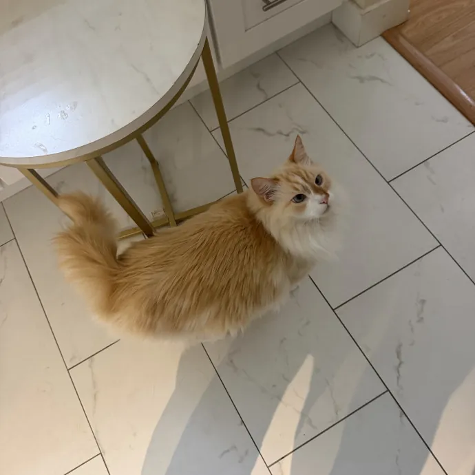 Maggie P.