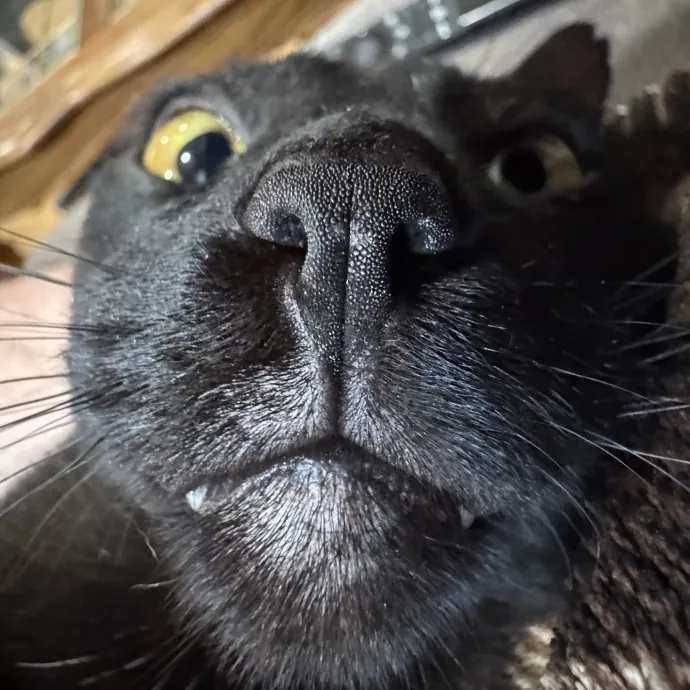 Harvey B.