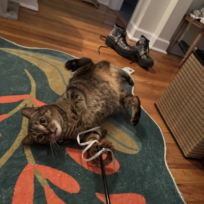 Harvey B.
