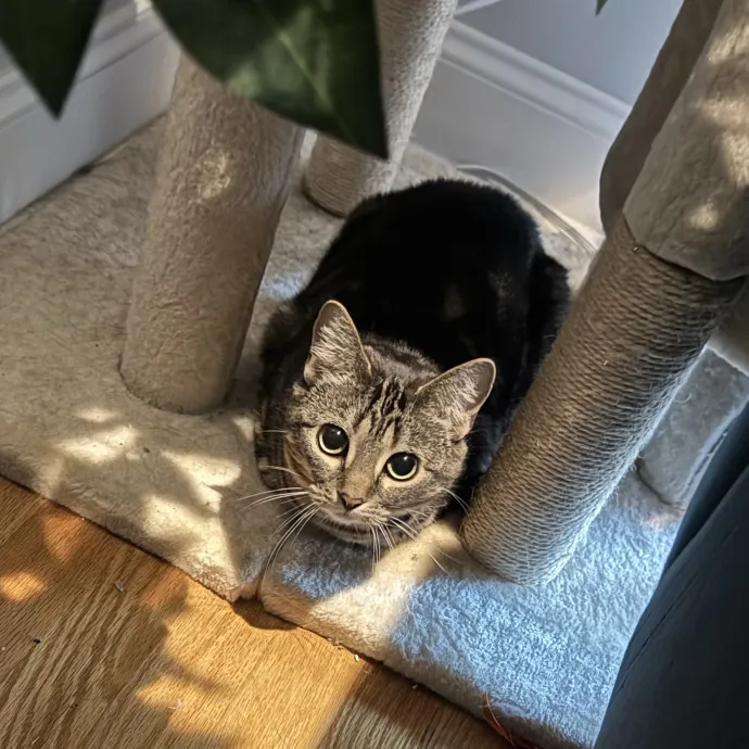 Harvey B.