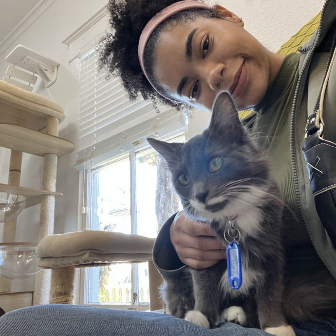 Remote Cat Lover Trustworthy  Reliable