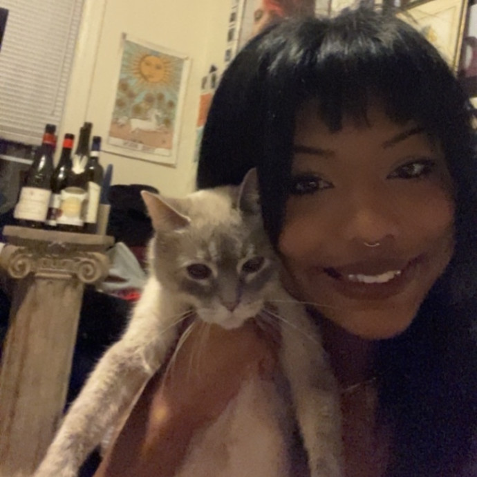 Experienced Foster  Cat Lover photo 3