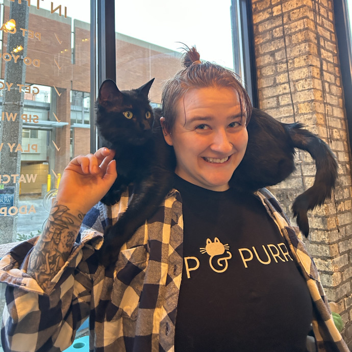 Loving Cat Care For Your Furry Friend