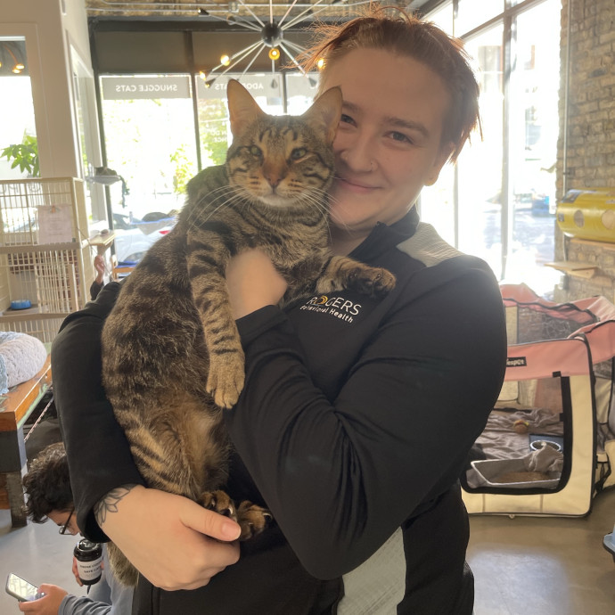 Loving Cat Care For Your Furry Friend
