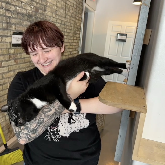 Loving Cat Care For Your Furry Friend photo 3