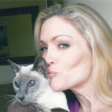 Christina's  Kitty Sitting photo 2