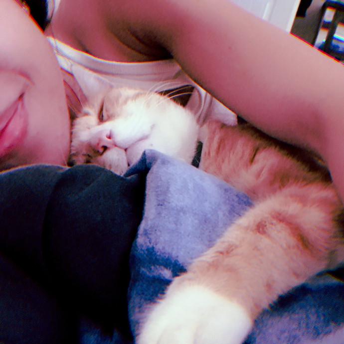 Your Next Cat Sitter