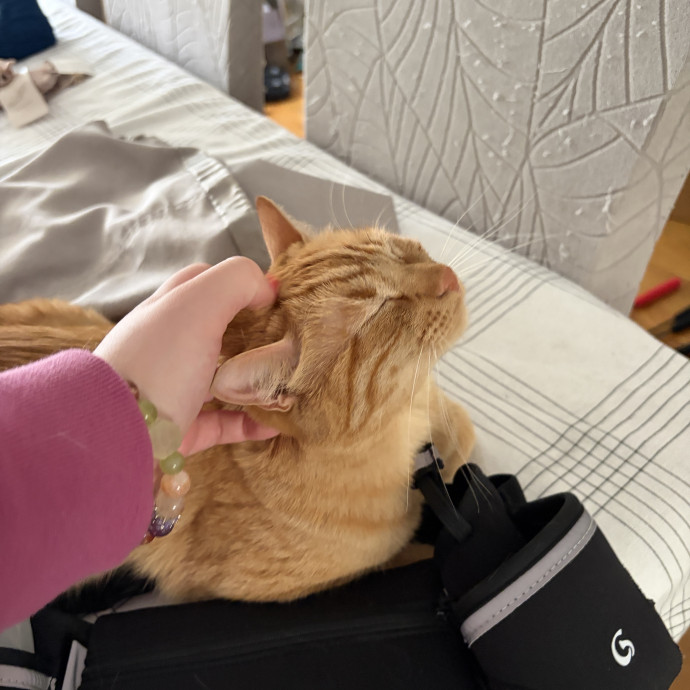 Only The Best Care For Your Fur Baby