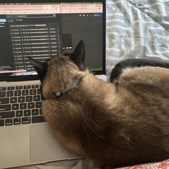 Only The Best Care For Your Fur Baby