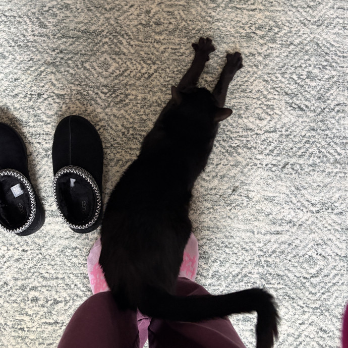 Only The Best Care For Your Fur Baby