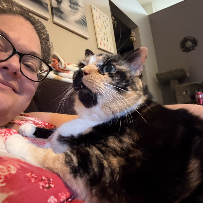 Pawsitively Purrfect Cat Sitter