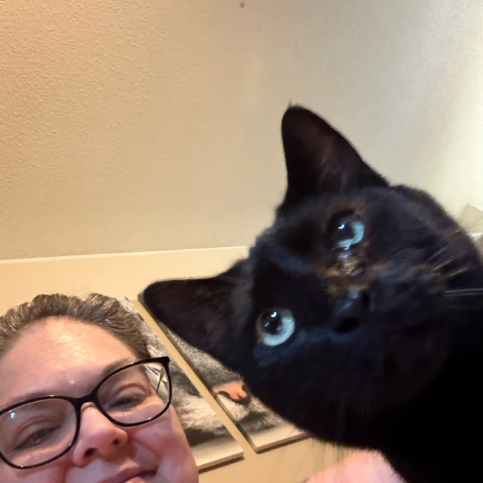 Pawsitively Purrfect Cat Sitter