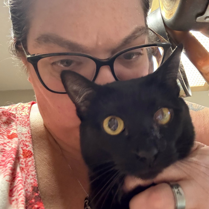 Pawsitively Purrfect Cat Sitter photo 3