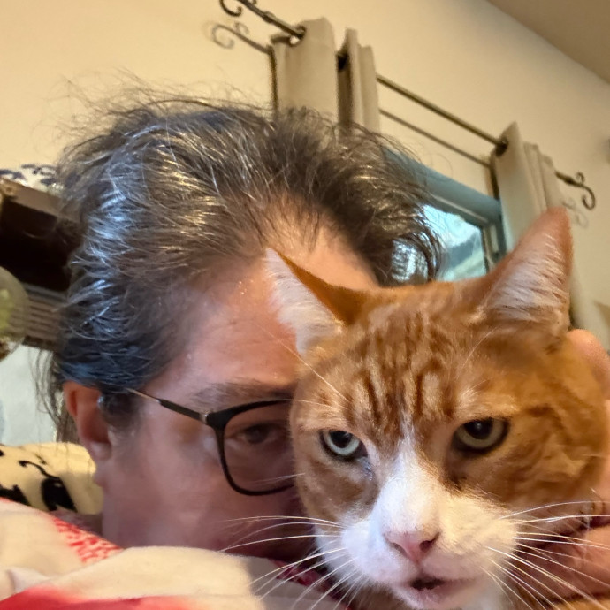 Pawsitively Purrfect Cat Sitter photo 2