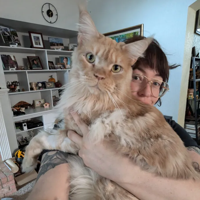 San Antonio's Purrfect Cat Sitter