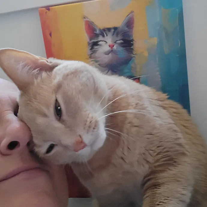 Reliable  Loving Catsitter