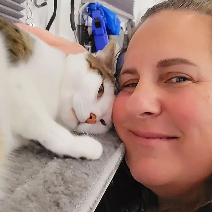 Reliable  Loving Catsitter photo 3