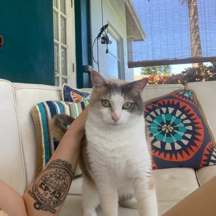 Tails Treats And Toys With Taylor