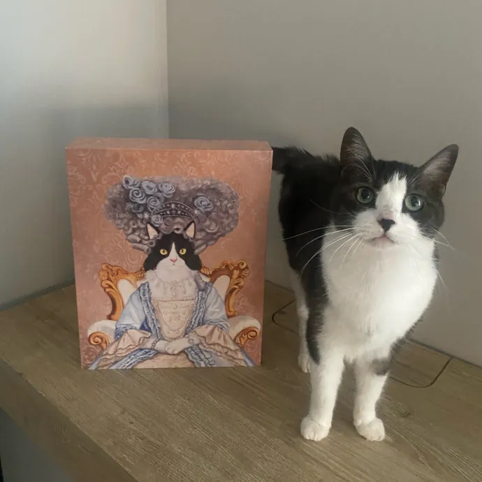 Tails Treats And Toys With Taylor