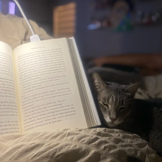 Tails Treats And Toys With Taylor