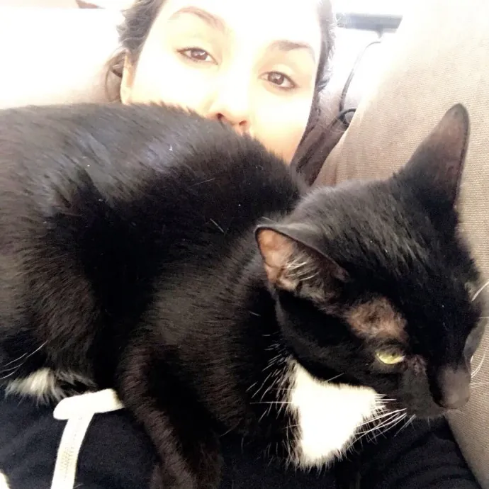 I Want To Befriend All The Cats