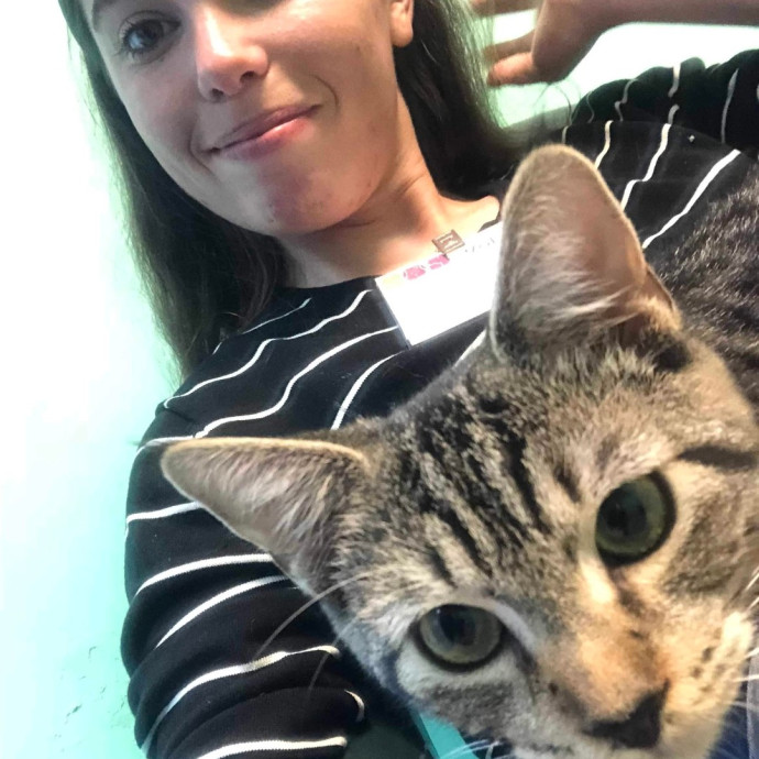 Trusted Experienced Kitty Sitting