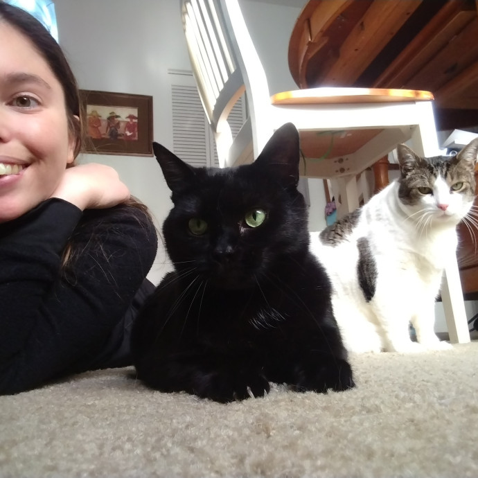 Trusted Experienced Kitty Sitting