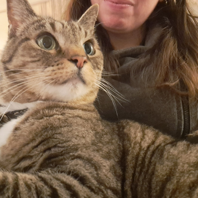 Trusted Experienced Kitty Sitting
