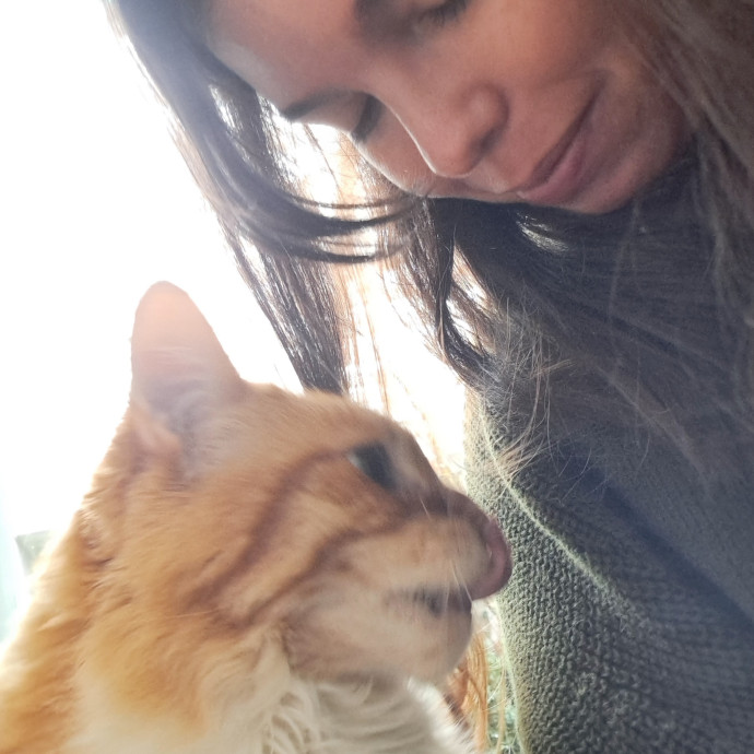 Trusted Experienced Kitty Sitting