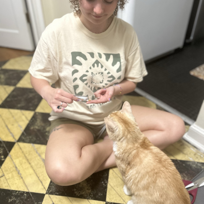 Reliable Responsive Sitter