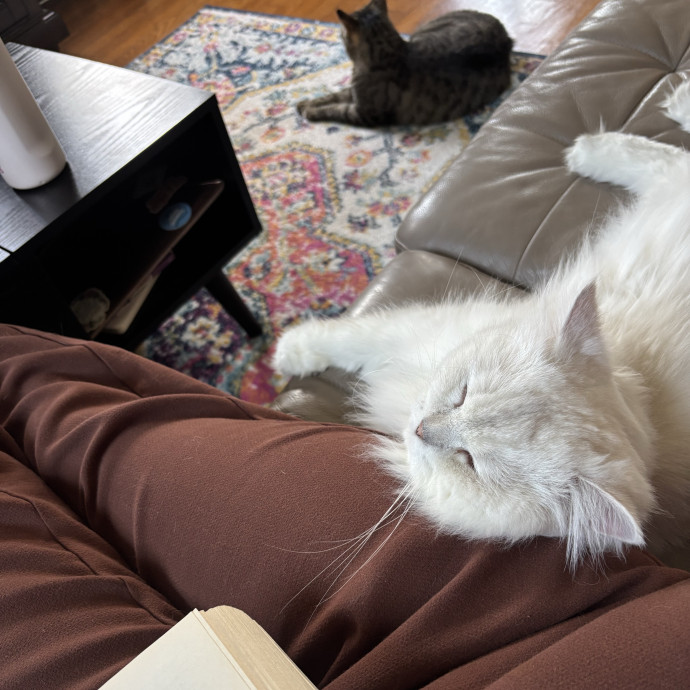 Reliable Responsive Sitter