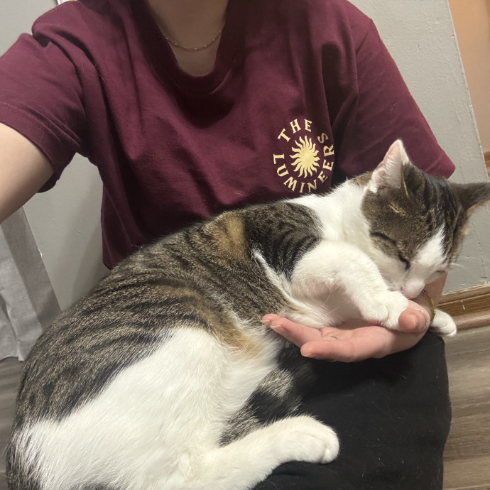 Reliable Responsive Sitter