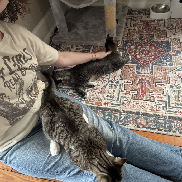 Reliable Responsive Sitter photo 3