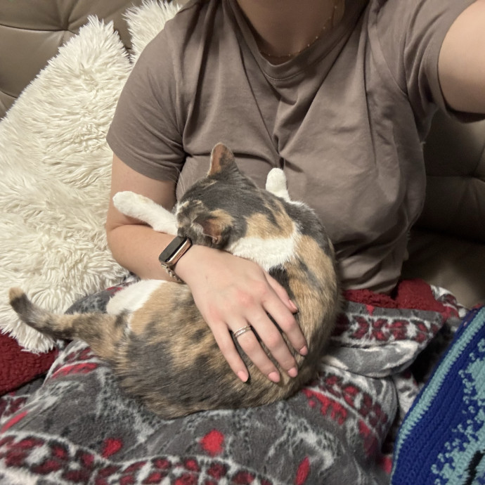 Reliable Responsive Sitter photo 2