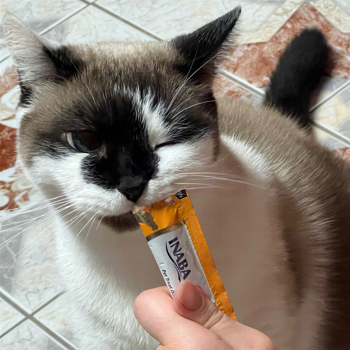 Ridgewood's Top Cat Care Lover