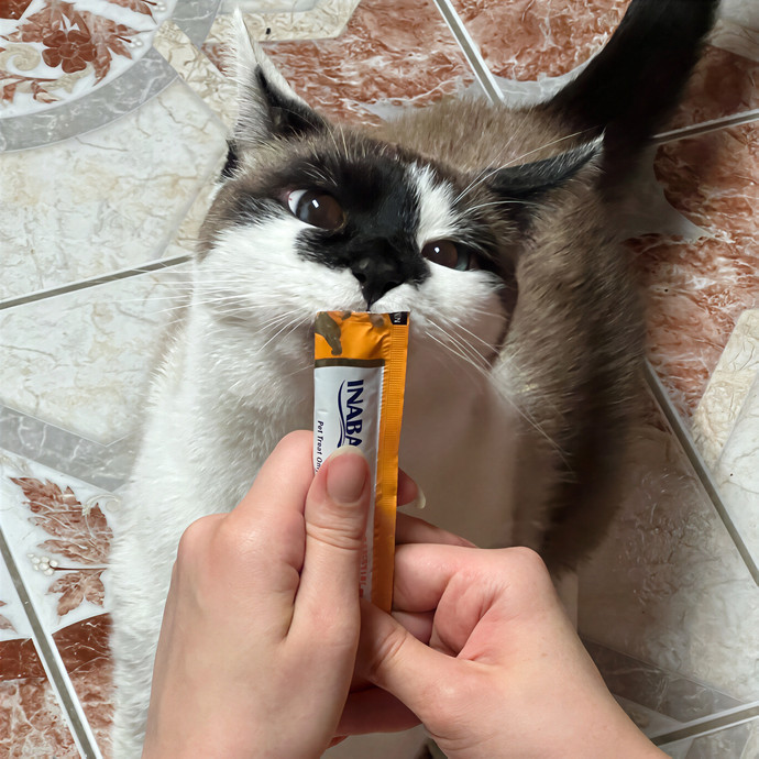 Ridgewood's Top Cat Care Lover