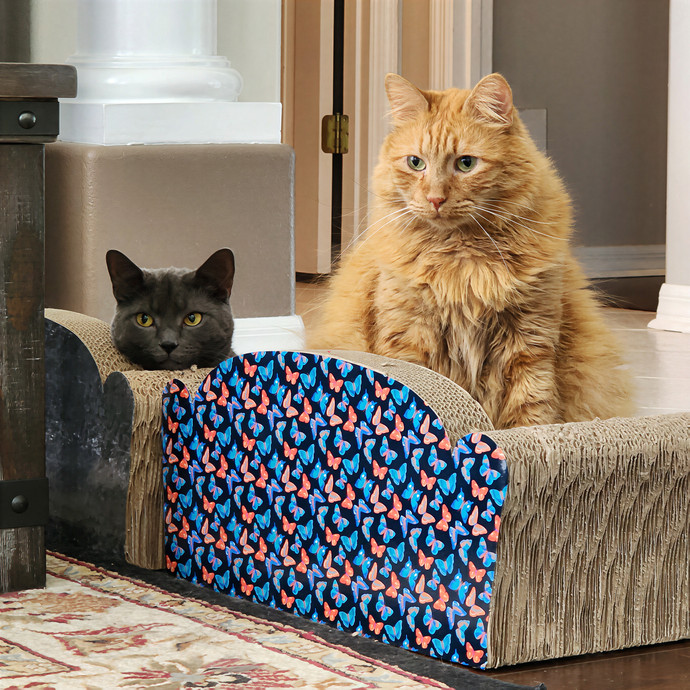 Pawesome And Purrtastic Cat Sitting