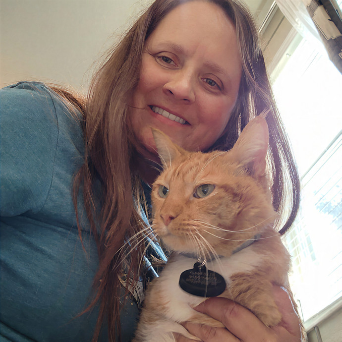 Pawesome And Purrtastic Cat Sitting