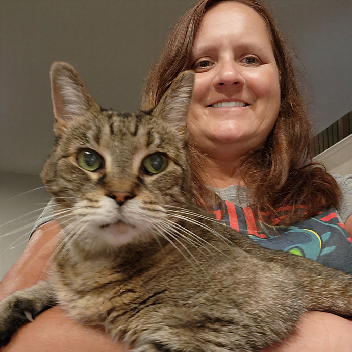 Pawesome And Purrtastic Cat Sitting