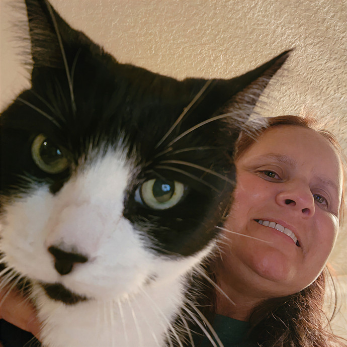 Pawesome And Purrtastic Cat Sitting