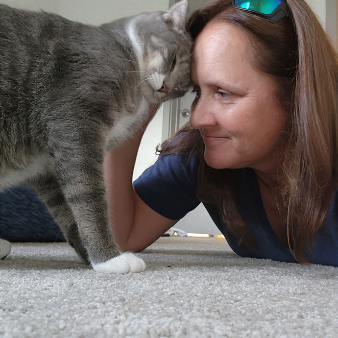 Pawesome And Purrtastic Cat Sitting