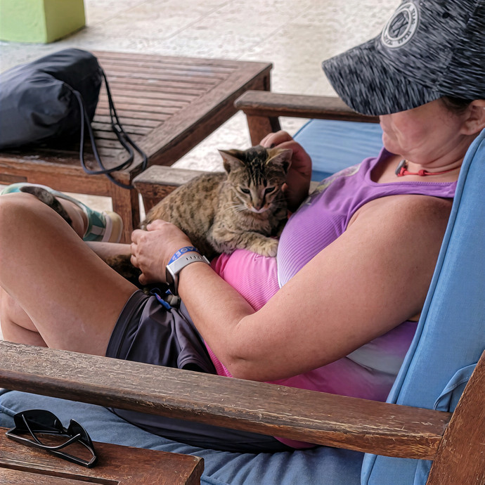 Pawesome And Purrtastic Cat Sitting