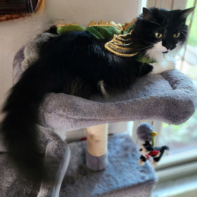 Pawesome And Purrtastic Cat Sitting