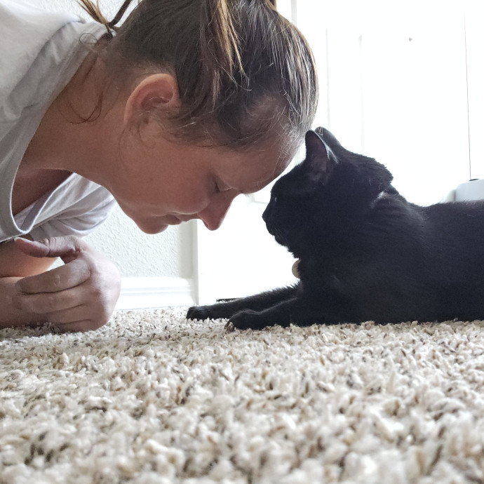 Pawesome And Purrtastic Cat Sitting