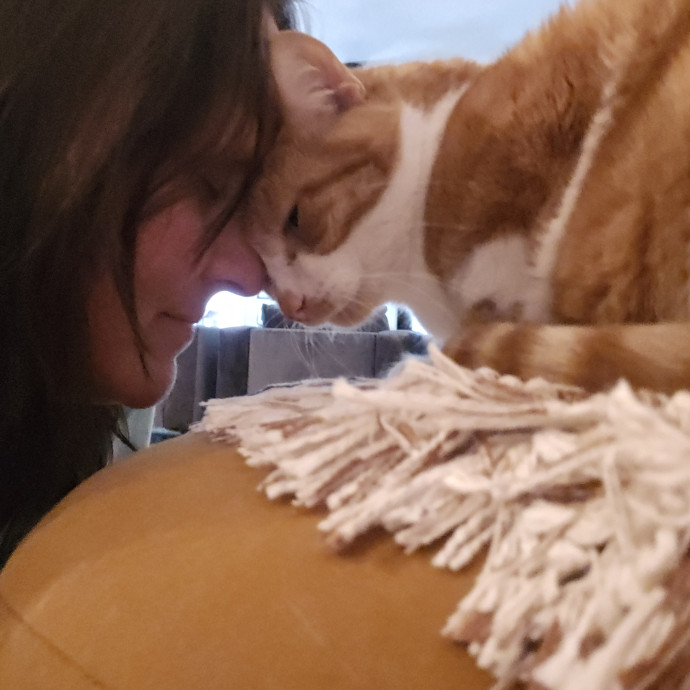 Pawesome And Purrtastic Cat Sitting