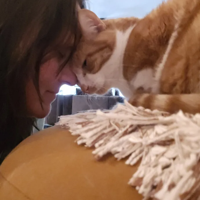 Pawesome And Purrtastic Cat Sitting