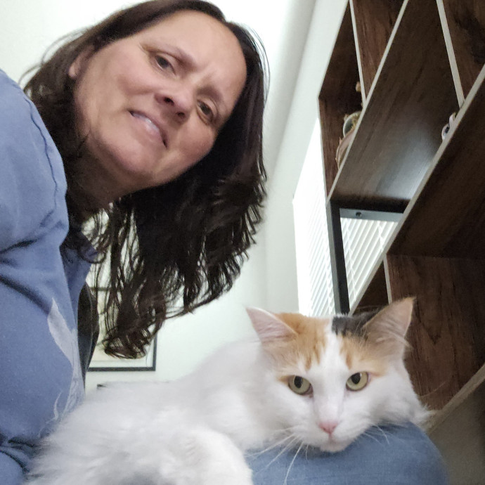 Pawesome And Purrtastic Cat Sitting