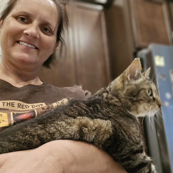 Pawesome And Purrtastic Cat Sitting