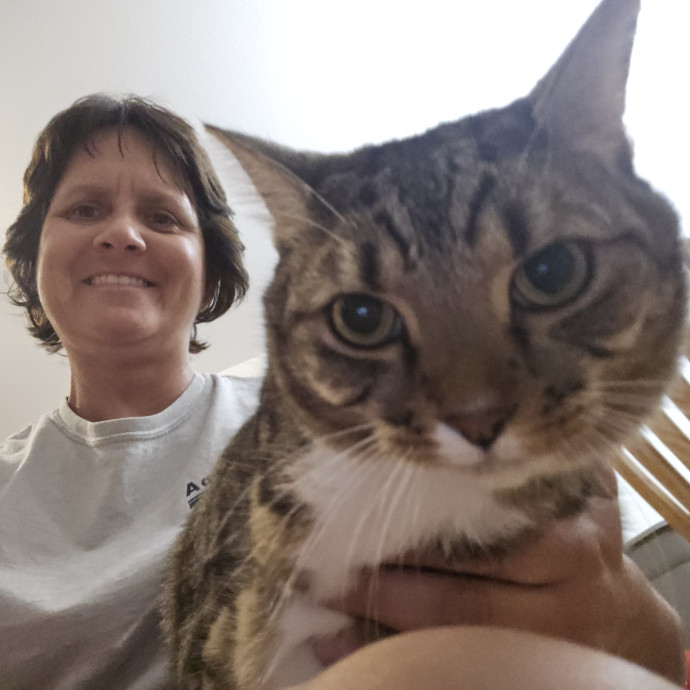 Pawesome And Purrtastic Cat Sitting